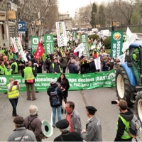 Más de 3.000 agricultores y ganaderos de toda España se manifiestan en Madrid