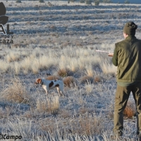 El sector cinegético reclama la retirada de la Ley de bienestar animal