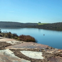 Explosión de algas en el embalse Los Molinos