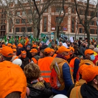 Denuncian silencio mediático sobre la llegada de 600.000 cazadores a Madrid