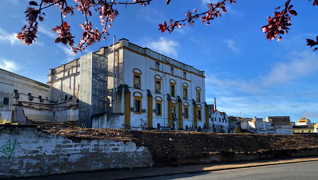 PSOE considera necesario mejorar todo el entorno del Palacio de Godoy
