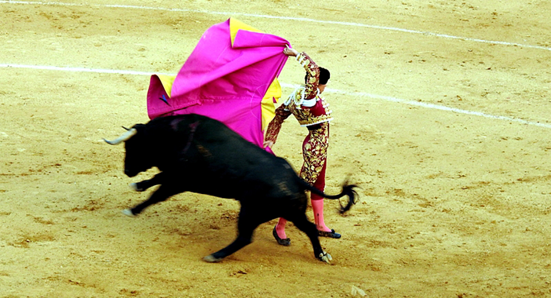 11 partidos piden la exclusión de las corridas de toros en televisión en horario infantil