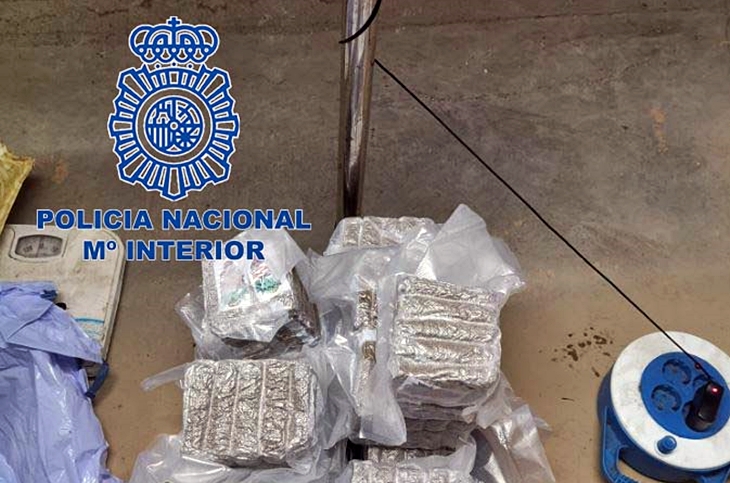 Operación antidroga en Extremadura: detenido mientras transportaba droga a Andalucía