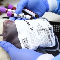 Banco de Sangre de Extremadura: ¿Qué requisitos tengo que cumplir para donar en abril?