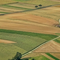 La Comunidad de Regantes de Orellana exige a la Junta medidas especiales para el arroz