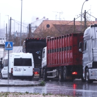 Suspenden temporalmente el paro de transportistas después de 20 días