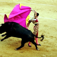 11 partidos piden la exclusión de las corridas de toros en televisión en horario infantil