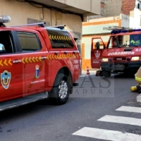 Los Bomberos salvan la vida a cuatro perros en un incendio en Badajoz