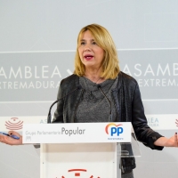 El PP señala al PSOE: &quot;El covid no se puede convertir en una excusa para adjudicar a dedo”