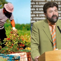 Asaja: “Las palabras del secretario general de la CREEX no representan al sector”