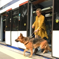 Reclaman el derecho de acceso de los perros guías extremeños de la ONCE al transporte público