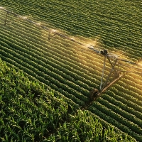 La Unión: “Quedan desamparados a más de 2.000 agricultores”