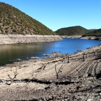 APAG Extremadura denuncia que las ayudas del Gobierno son insuficientes y pide una mesa de sequía