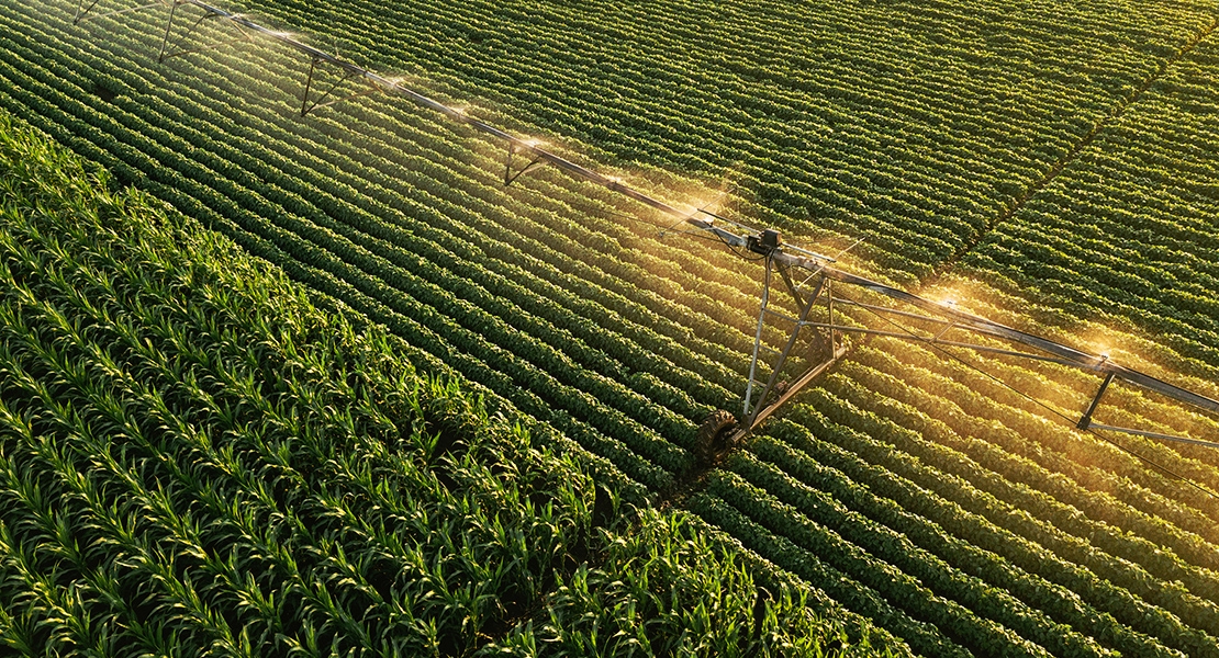 La Unión sobre el reparto de agua en las Vegas Altas: “Quedan desamparados a más de 2.000 agricultores”