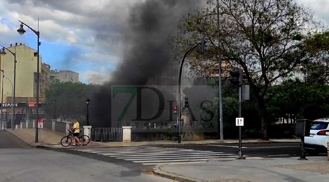 Un incendio calcina una barraca ubicada debajo del Puente de Rivillas