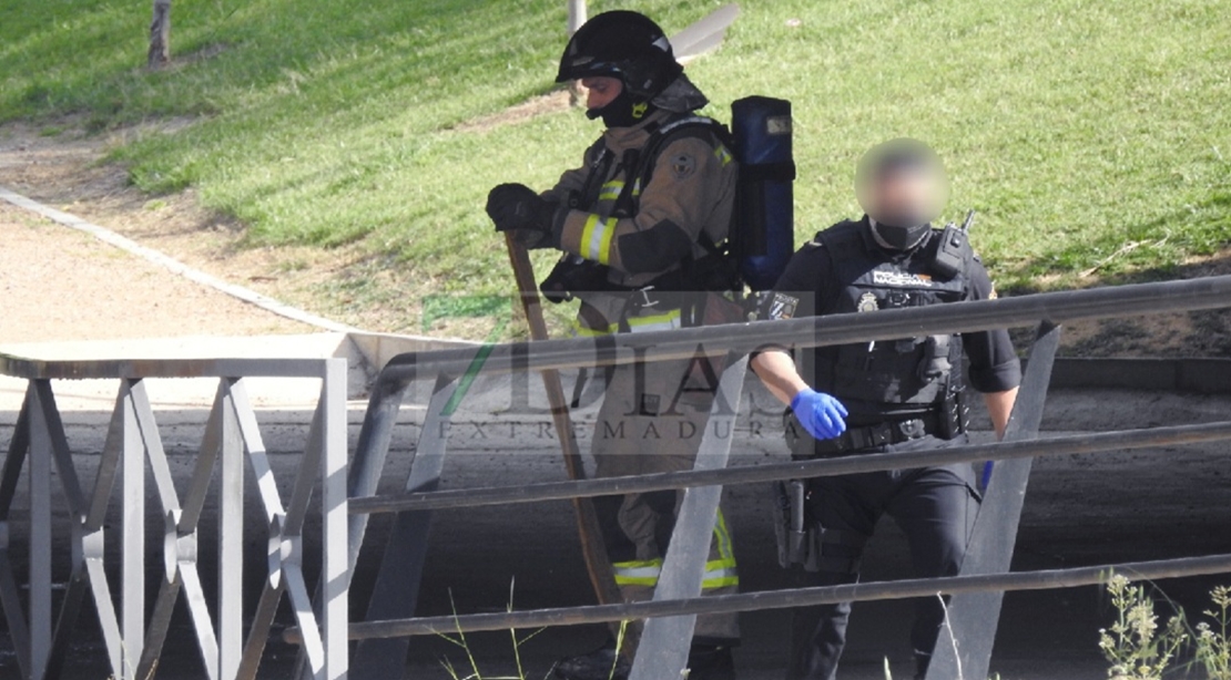 Un incendio calcina una barraca ubicada debajo del Puente de Rivillas