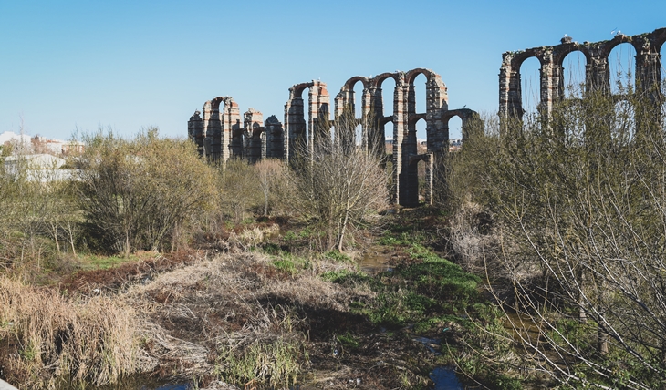 Ecologistas afirma que la Confederación Hidrográfica debió impedir la tala de árboles en el Albarregas