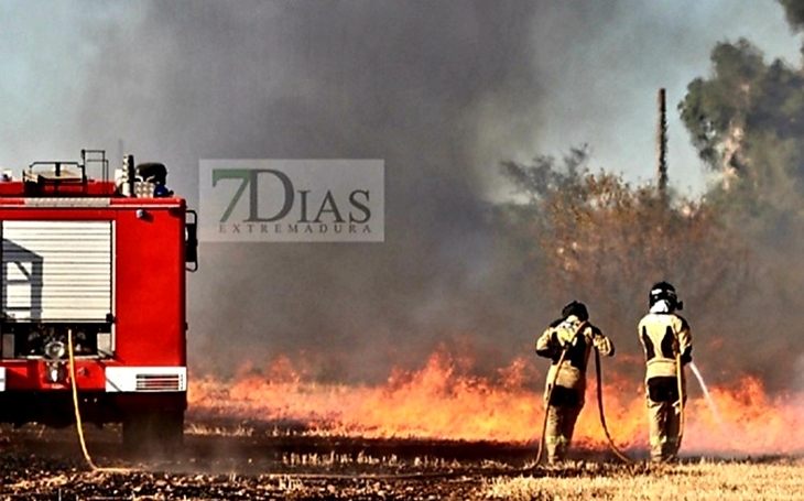 Los bomberos extinguen un incendio forestal cercano a Badajoz