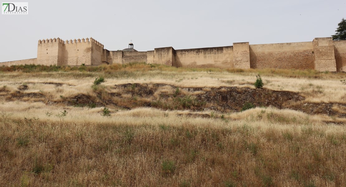 Alto peligro de incendio en la ladera de La Alcazaba: ¿cuándo se va a desbrozar?