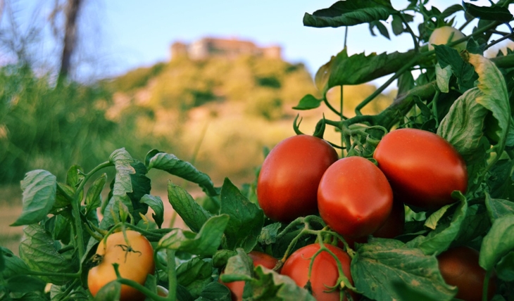 APAG Extremadura Asaja expone el último &quot;engaño&quot; del Gobierno a los agricultores