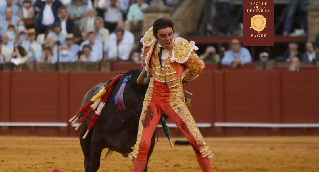 El extremeño Perera sufre una cogida en la Maestranza de Sevilla