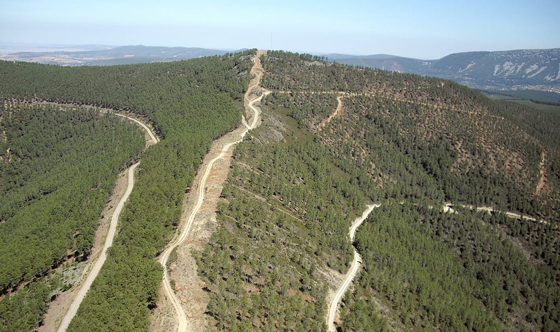 Extremadura Digna pide un Plan de Reforestación para la región