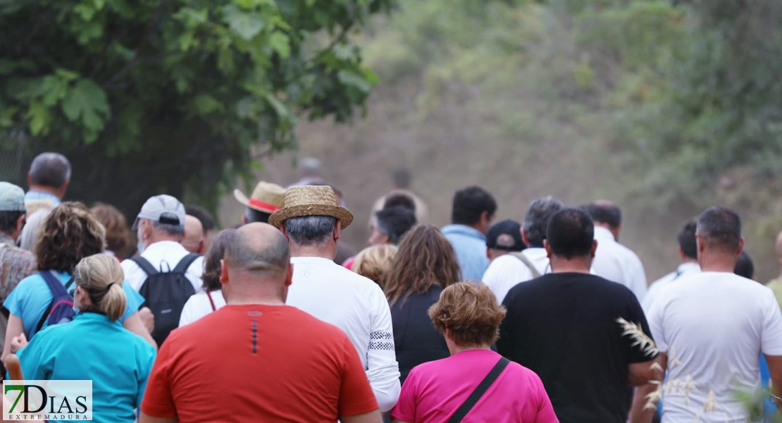 Valverde de Leganés disfruta una jornada de trashumancia por las calles del pueblo