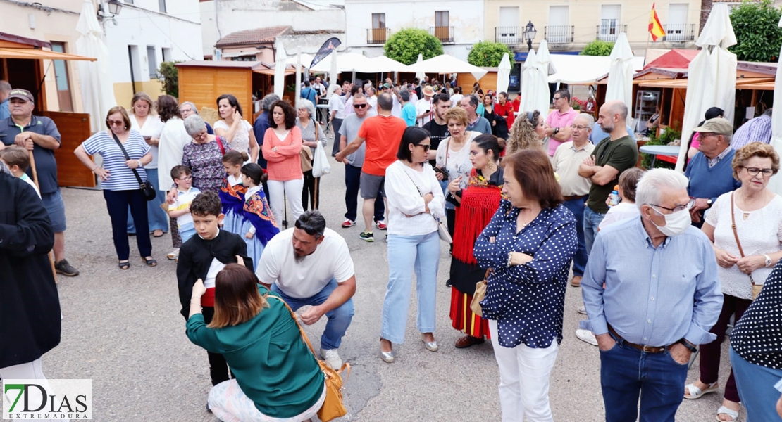 Valverde de Leganés disfruta una jornada de trashumancia por las calles del pueblo