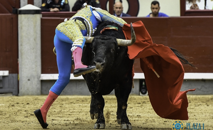 Gines Marín intervenido tras sufrir una grave cornada en Las Ventas