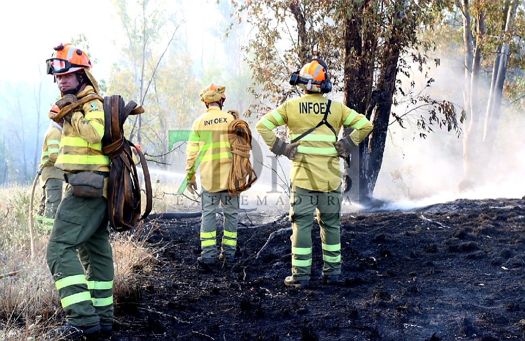 Bomberos forestales evitan el descontrol de un incendio entre Mérida y Don Álvaro