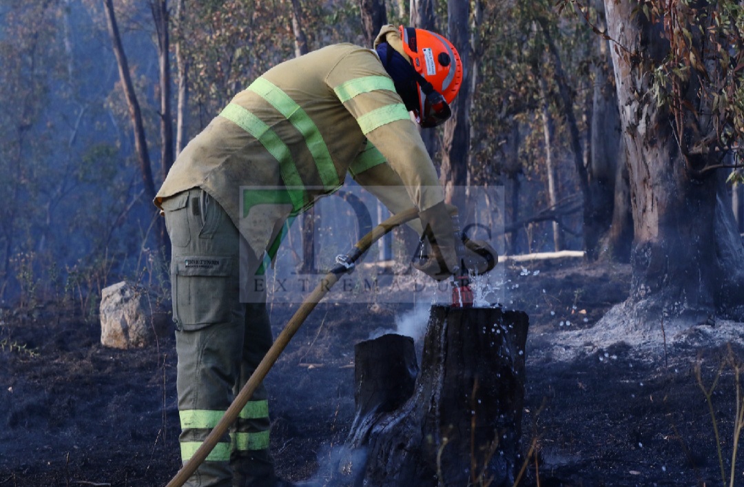 Bomberos forestales evitan el descontrol de un incendio entre Mérida y Don Álvaro