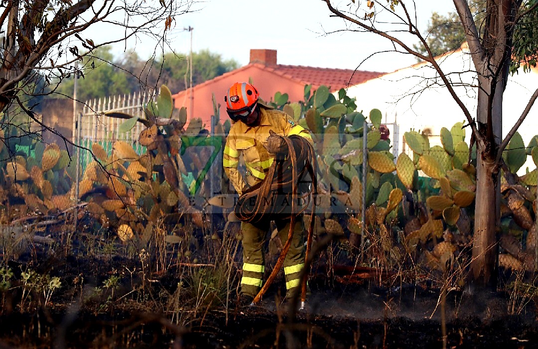 Bomberos forestales evitan el descontrol de un incendio entre Mérida y Don Álvaro