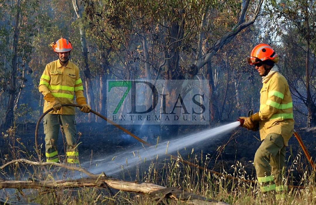 Bomberos forestales evitan el descontrol de un incendio entre Mérida y Don Álvaro