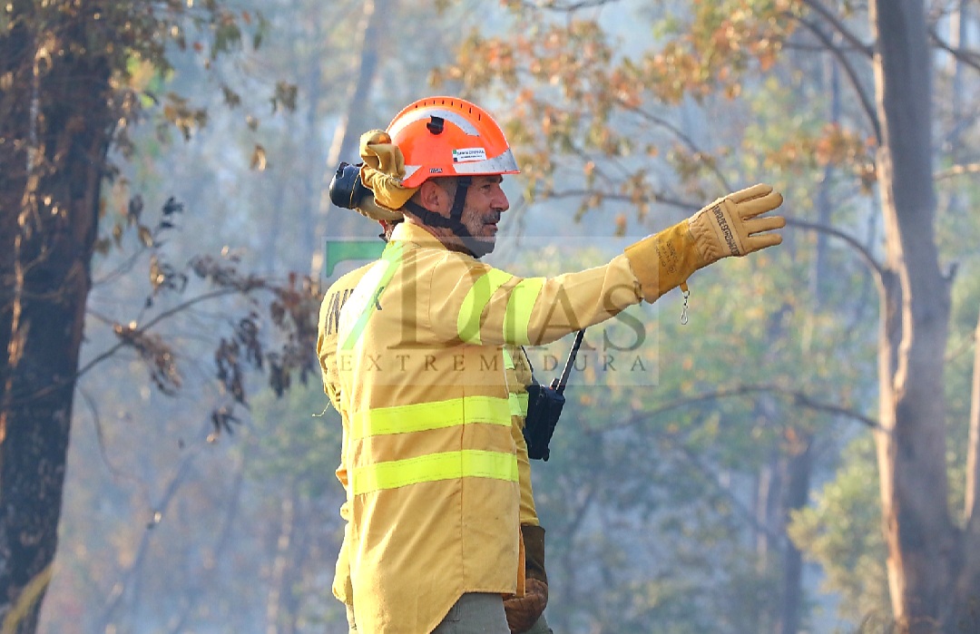 Bomberos forestales evitan el descontrol de un incendio entre Mérida y Don Álvaro