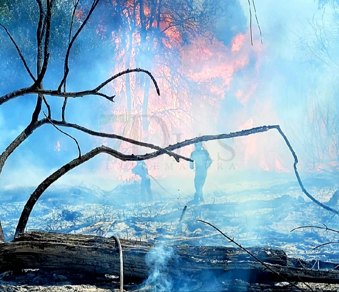 Incendio en la carretera de CC, en la salida por Badajoz