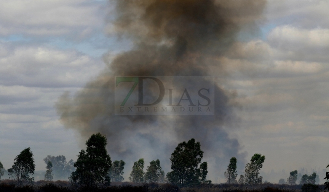 Siete horas de trabajos en un incendio en la Nacional 523 (Badajoz)
