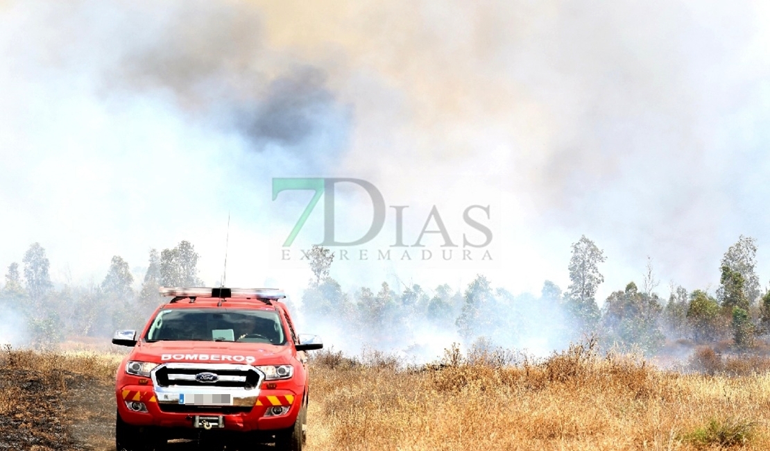 Siete horas de trabajos en un incendio en la Nacional 523 (Badajoz)