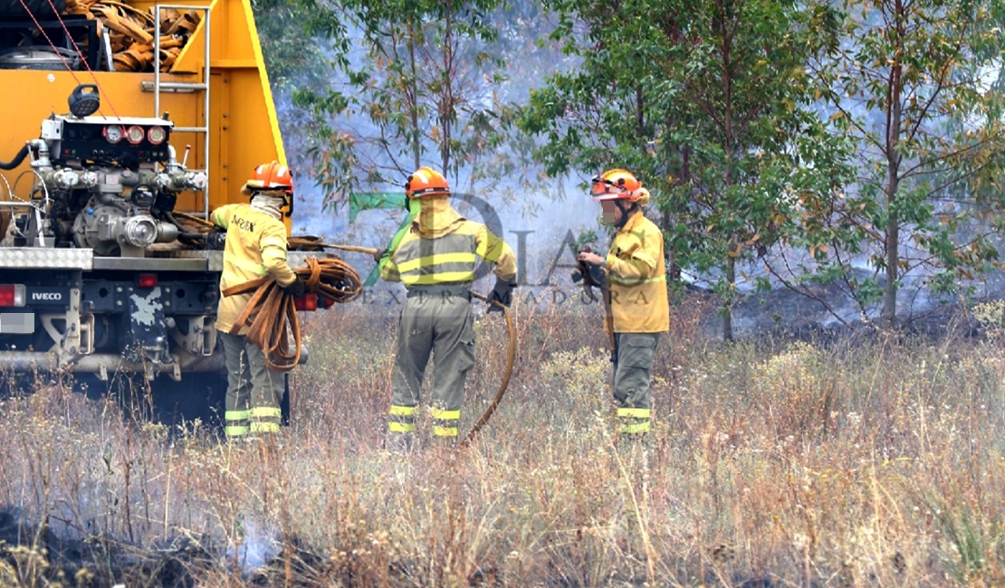 Siete horas de trabajos en un incendio en la Nacional 523 (Badajoz)