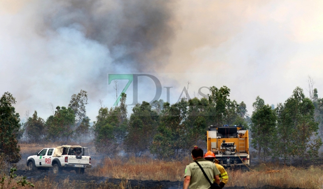 Siete horas de trabajos en un incendio en la Nacional 523 (Badajoz)