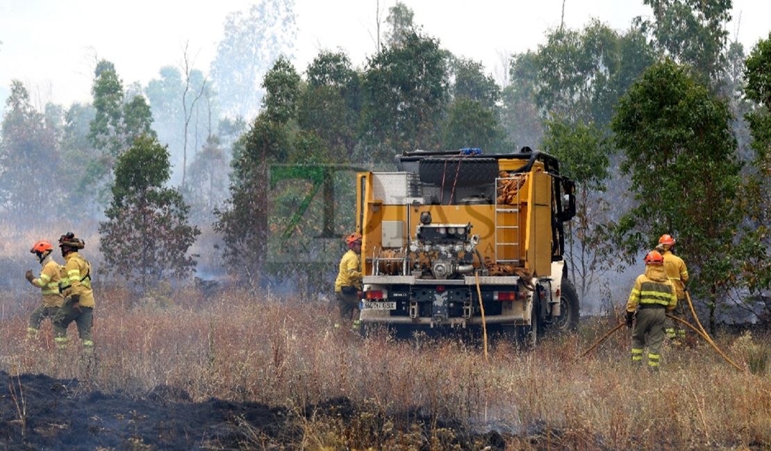 Siete horas de trabajos en un incendio en la Nacional 523 (Badajoz)