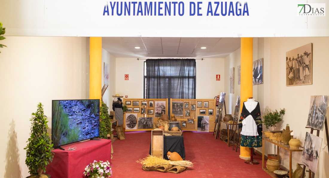 Imágenes de FECSUR 2022 en Azuaga