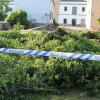 Se cae la rama de grandes dimensiones de un árbol podrido en La Alcazaba