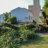 Se cae la rama de grandes dimensiones de un árbol podrido en La Alcazaba