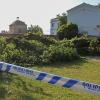 Se cae la rama de grandes dimensiones de un árbol podrido en La Alcazaba