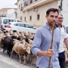 Valverde de Leganés disfruta una jornada de trashumancia por las calles del pueblo