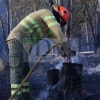 Bomberos forestales evitan el descontrol de un incendio entre Mérida y Don Álvaro