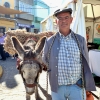 REPOR - Inauguración de la Feria Ibérica de la Alfarería y el Barro de Salvatierra