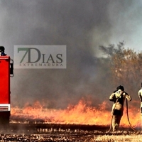 Los bomberos extinguen un incendio forestal cercano a Badajoz