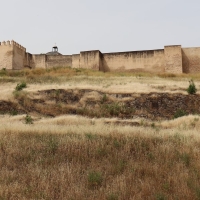 Alto peligro de incendio en la ladera de La Alcazaba: ¿cuándo se va a desbrozar?