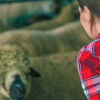 Extremadura es una de las regiones donde más mujeres se incorporan a la actividad agraria